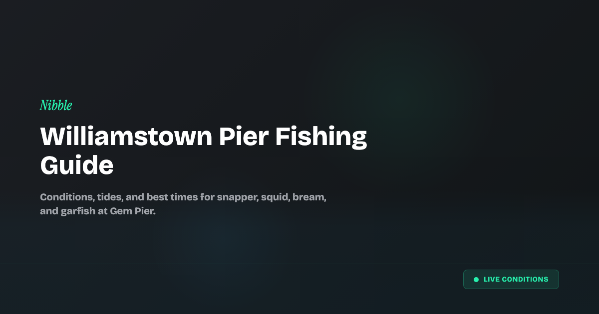 Williamstown Gem Pier waterfront -- fishing conditions guide